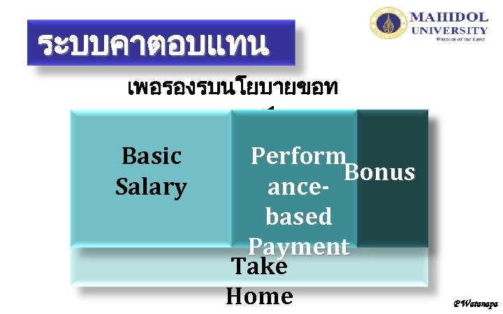 ระบบคาตอบแทน เพอรองรบนโยบายขอท 1 Basic Salary Perform Bonus ancebased Payment Take Home P Watanapa 