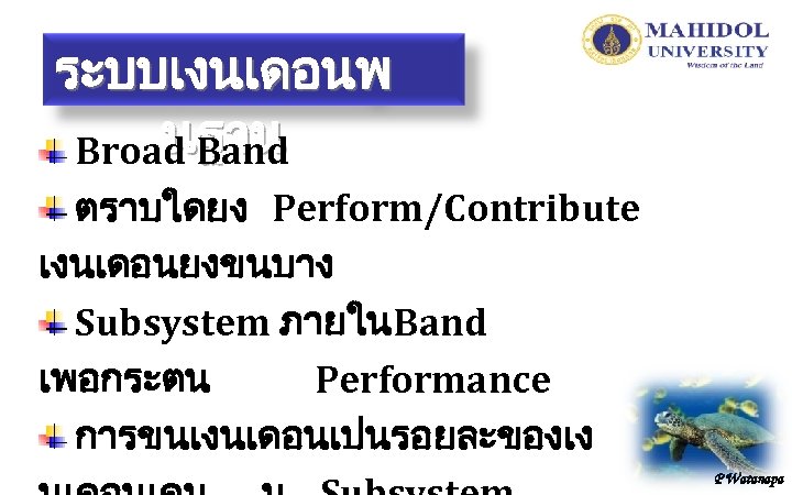 ระบบเงนเดอนพ นฐาน Broad Band ตราบใดยง Perform/Contribute เงนเดอนยงขนบาง Subsystem ภายในBand เพอกระตน Performance การขนเงนเดอนเปนรอยละของเง P Watanapa