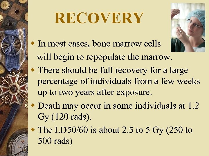 RECOVERY w In most cases, bone marrow cells will begin to repopulate the marrow.