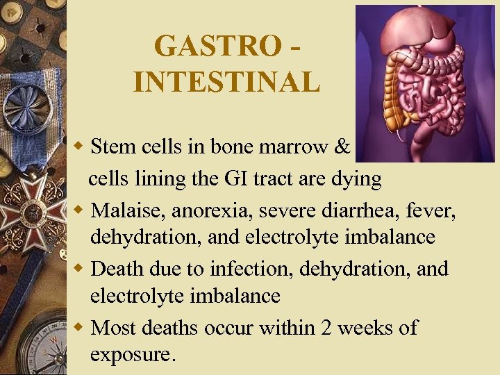 GASTRO INTESTINAL w Stem cells in bone marrow & cells lining the GI tract