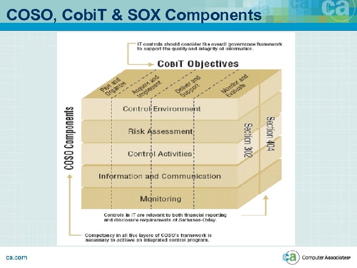 COSO, Cobi. T & SOX Components 