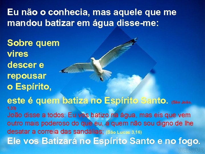 Eu não o conhecia, mas aquele que me mandou batizar em água disse-me: Sobre