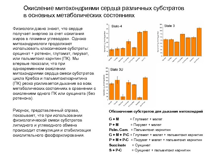 Окисление митохондриями сердца различных субстратов в основных метаболических состояниях Физиологи давно знают, что сердце