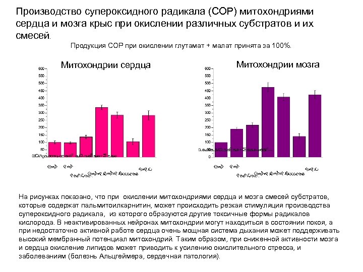 Производство супероксидного радикала (СОР) митохондриями сердца и мозга крыс при окислении различных субстратов и