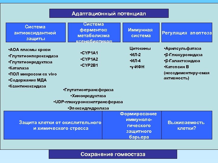 Адаптационный потенциал Система антиоксидантной защиты • АОА плазмы крови • Глутатионпероксидаза • Глутатионредуктаза •