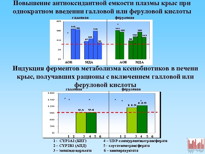 Повышение антиоксидантной емкости плазмы крыс при однократном введении галловой или феруловой кислоты галловая *