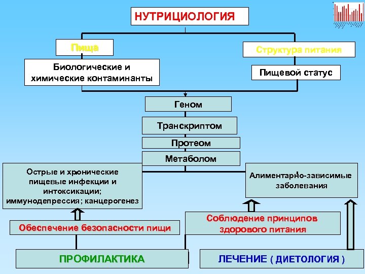 План изучения нутрициологии