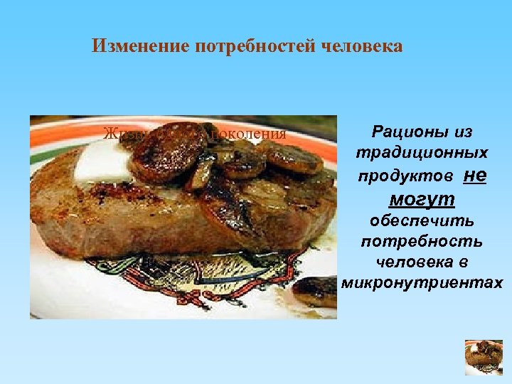 Изменение потребностей человека Жизнь одного поколения Рационы из традиционных продуктов не могут обеспечить потребность