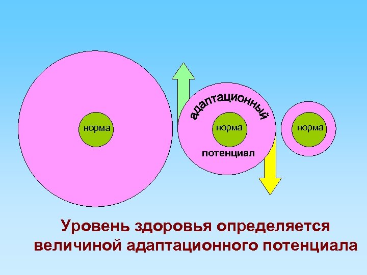 Адаптационный потенциал