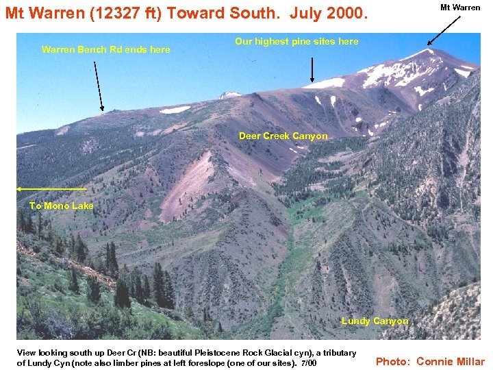 Mt Warren (12327 ft) Toward South. July 2000. Warren Bench Rd ends here Our