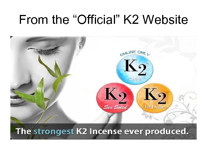 From the “Official” K 2 Website 