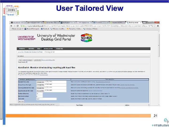 User Tailored View 21 