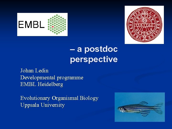 – a postdoc perspective Johan Ledin Developmental programme EMBL Heidelberg Evolutionary Organismal Biology Uppsala