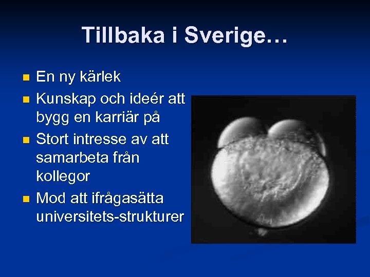 Tillbaka i Sverige… n n En ny kärlek Kunskap och ideér att bygg en