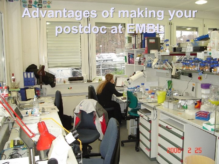 Advantages of making your postdoc at EMBL 