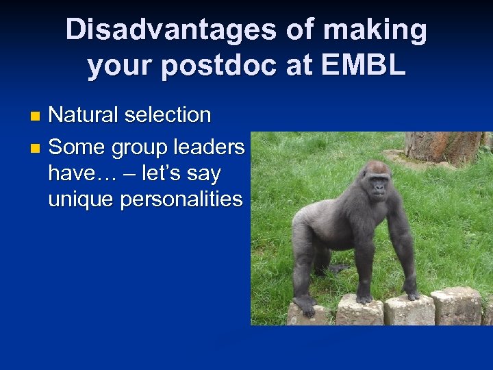 Disadvantages of making your postdoc at EMBL Natural selection n Some group leaders have…