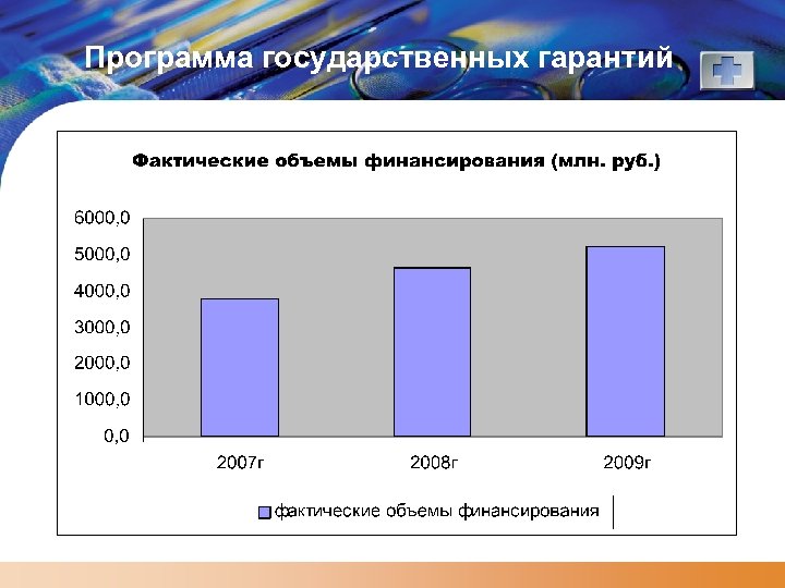 Программа государственных гарантий 