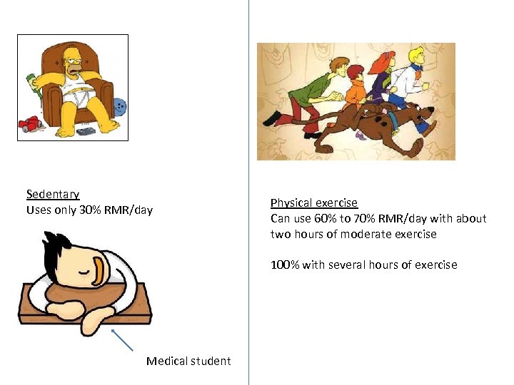 Sedentary Uses only 30% RMR/day Physical exercise Can use 60% to 70% RMR/day with