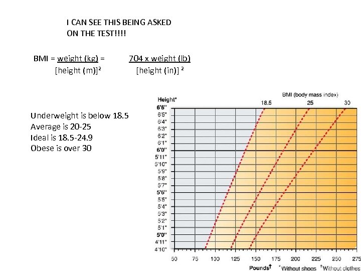 I CAN SEE THIS BEING ASKED ON THE TEST!!!! BMI = weight (kg) =