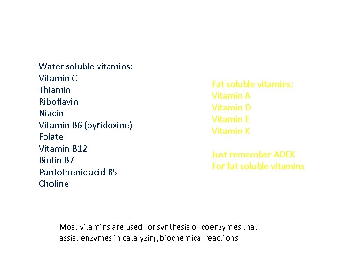 Water soluble vitamins: Vitamin C Thiamin Riboflavin Niacin Vitamin B 6 (pyridoxine) Folate Vitamin