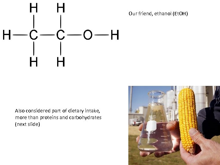 Our friend, ethanol (Et. OH) Also considered part of dietary intake, more than proteins