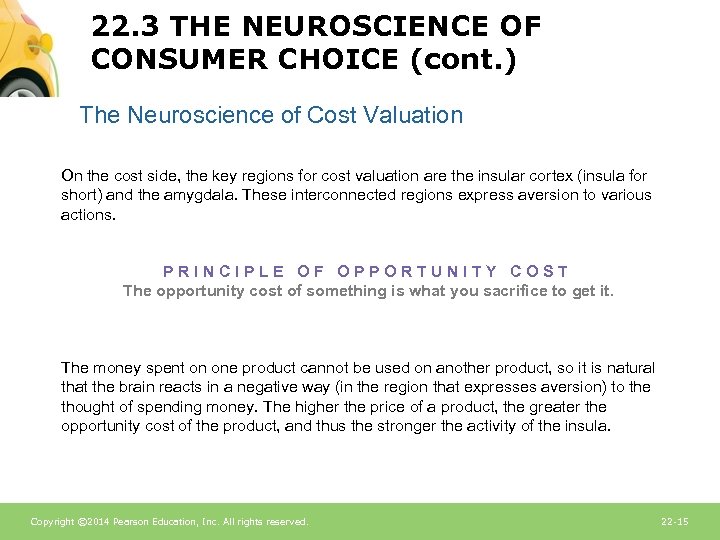 22. 3 THE NEUROSCIENCE OF CONSUMER CHOICE (cont. ) The Neuroscience of Cost Valuation