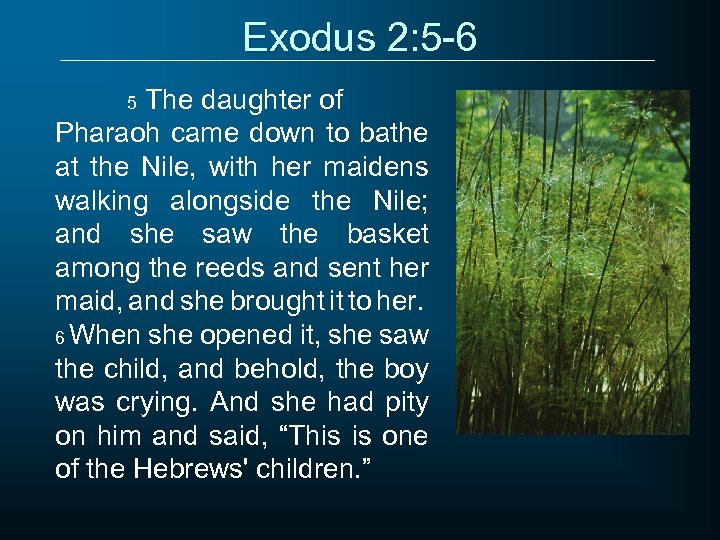 Exodus 2: 5 -6 The daughter of Pharaoh came down to bathe at the