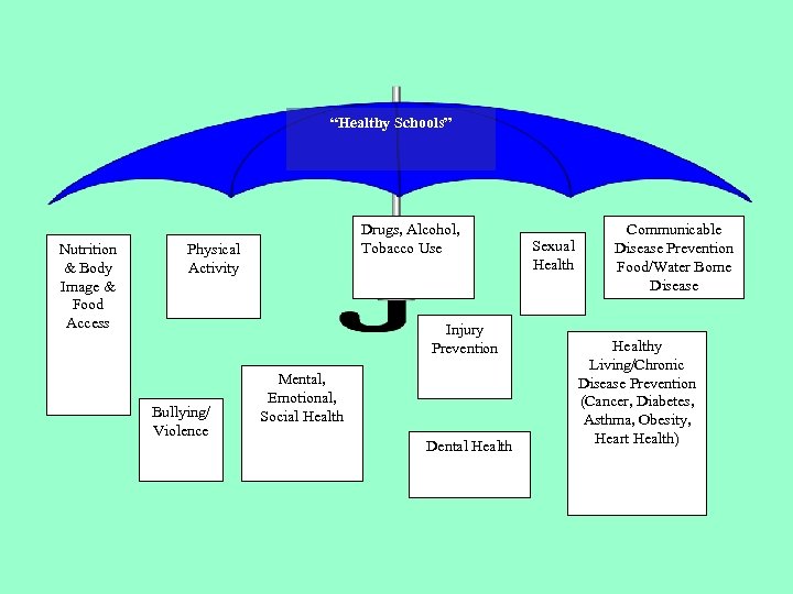 “Healthy Schools” Nutrition & Body Image & Food Access Drugs, Alcohol, Tobacco Use Physical