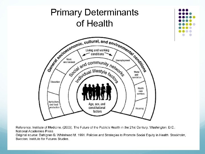 Primary Determinants of Health 