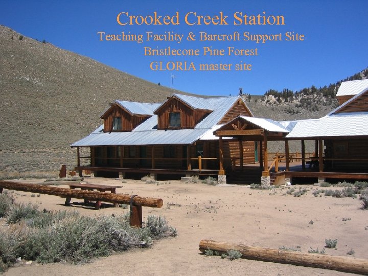 Crooked Creek Station Teaching Facility & Barcroft Support Site Bristlecone Pine Forest GLORIA master