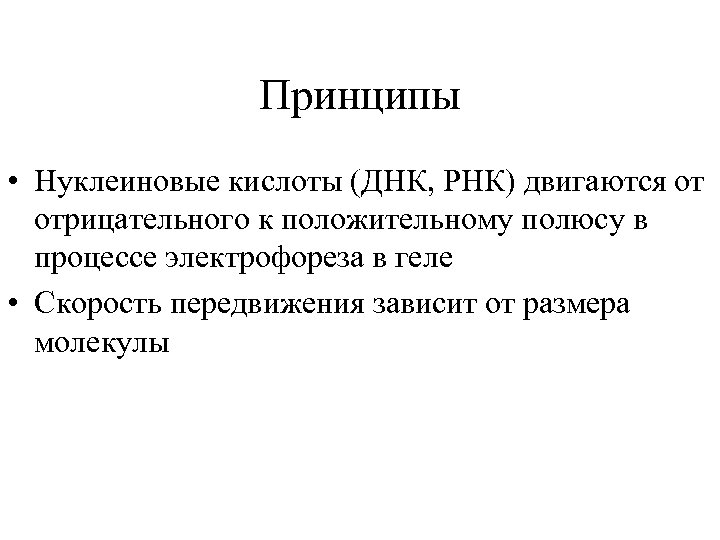 Принципы • Нуклеиновые кислоты (ДНК, РНК) двигаются от отрицательного к положительному полюсу в процессе