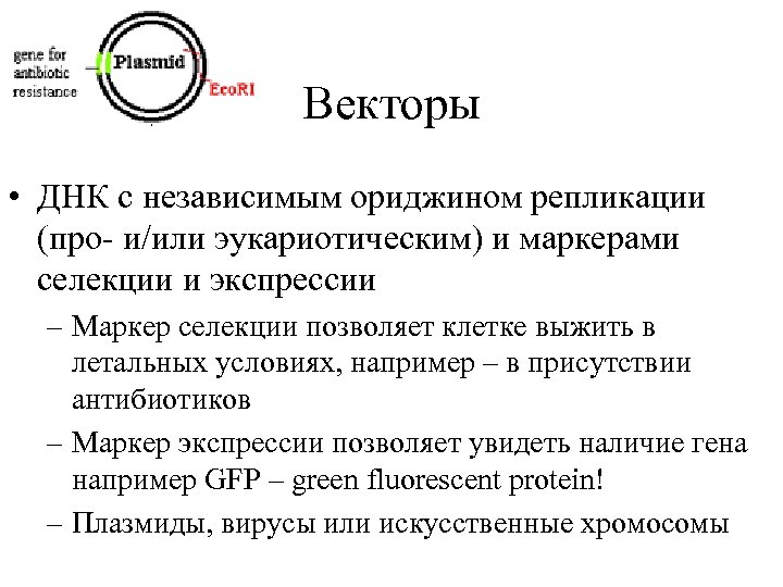 Векторы • ДНК с независимым ориджином репликации (про- и/или эукариотическим) и маркерами селекции и