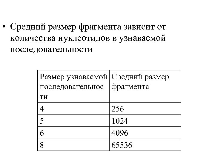  • Средний размер фрагмента зависит от количества нуклеотидов в узнаваемой последовательности Размер узнаваемой
