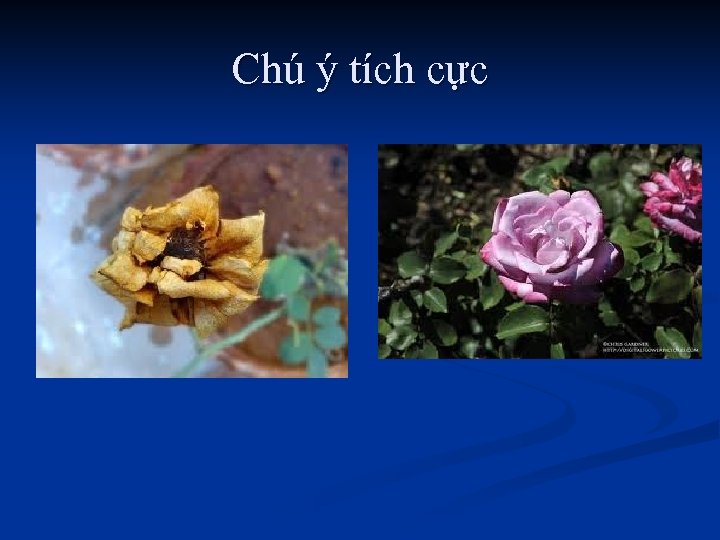 Chú ý tích cực 