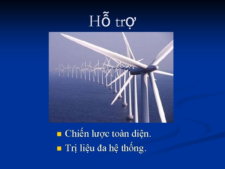 Hỗ trợ Chiến lược toàn diện. n Trị liệu đa hệ thống. n 