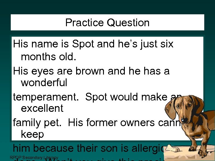 Practice Question His name is Spot and he’s just six months old. His eyes
