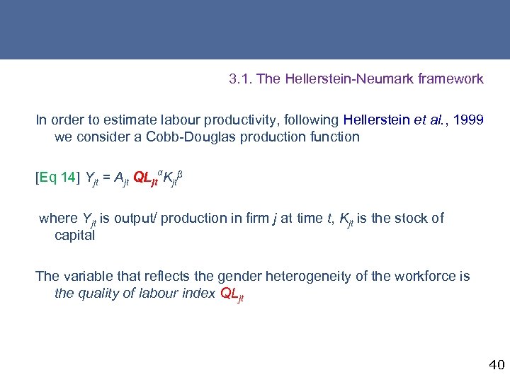 3. 1. The Hellerstein-Neumark framework In order to estimate labour productivity, following Hellerstein et