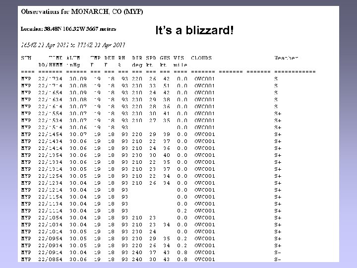 It’s a blizzard! 