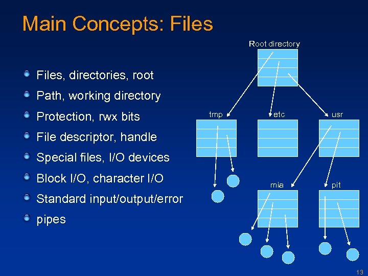 Main Concepts: Files Root directory Files, directories, root Path, working directory Protection, rwx bits