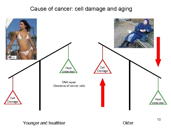 Cause of cancer: cell damage and aging Host protection Cell Damage DNA repair Clearance