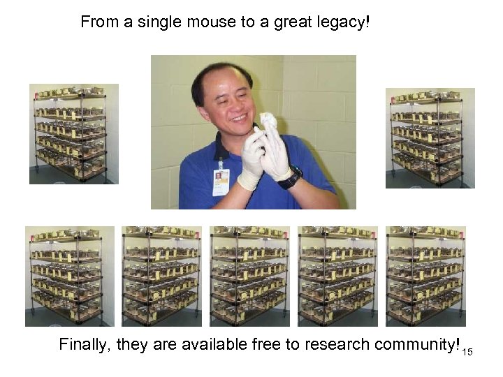 From a single mouse to a great legacy! Finally, they are available free to