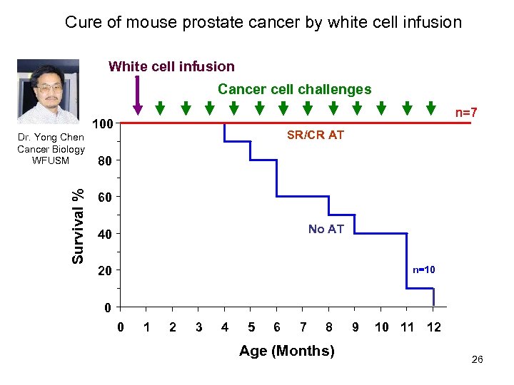 Cure of mouse prostate cancer by white cell infusion White cell infusion Cancer cell