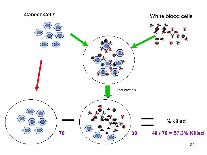 Cancer Cells White blood cells Incubation % killed 70 30 40 / 70 =