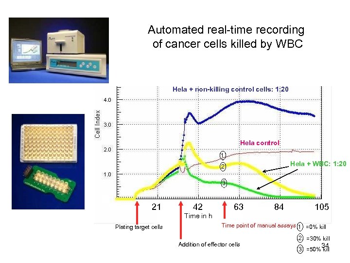 Automated real-time recording of cancer cells killed by WBC Hela + non-killing control cells: