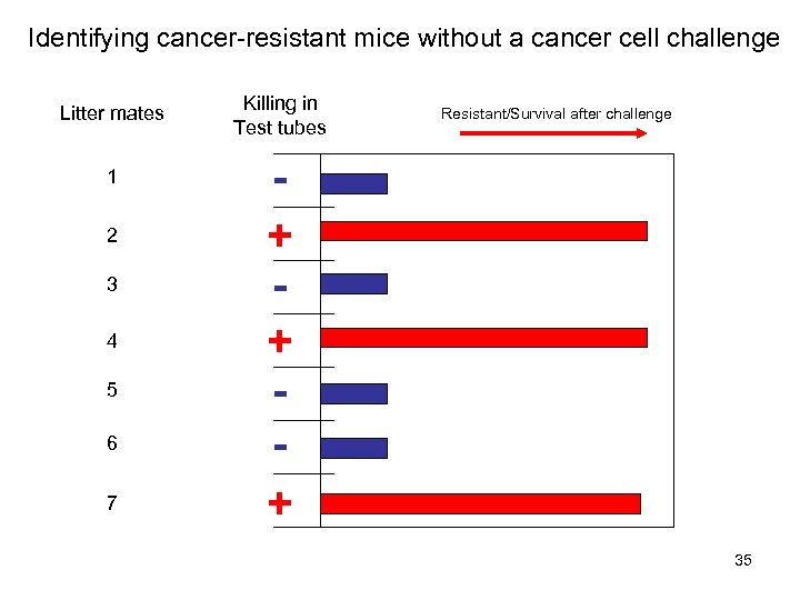 Identifying cancer-resistant mice without a cancer cell challenge Litter mates 1 2 3 4