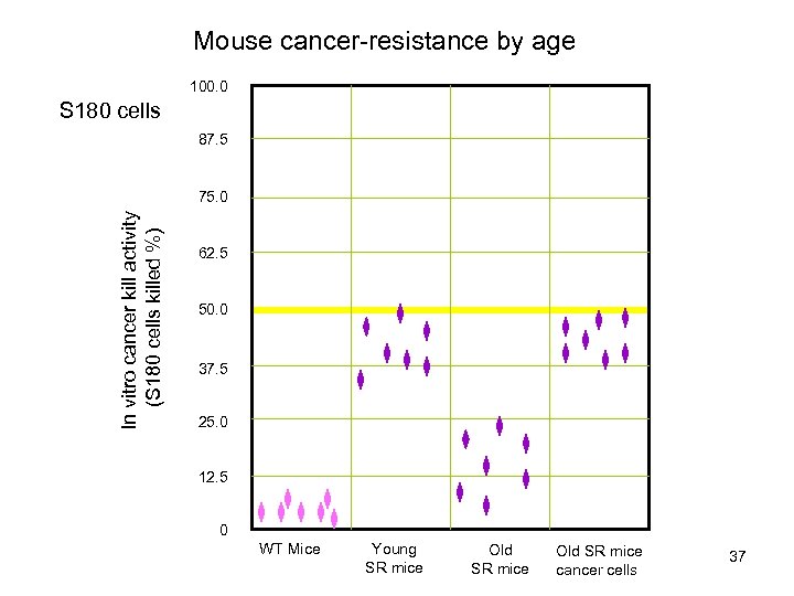 Mouse cancer-resistance by age 100. 0 S 180 cells 87. 5 In vitro cancer