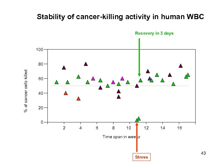 Stability of cancer-killing activity in human WBC Recovery in 3 days 100 % of