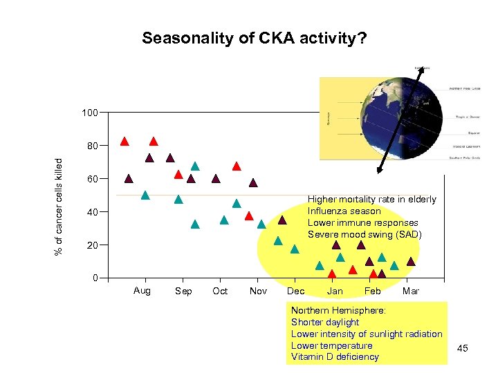 Seasonality of CKA activity? 100 % of cancer cells killed 80 60 Higher mortality