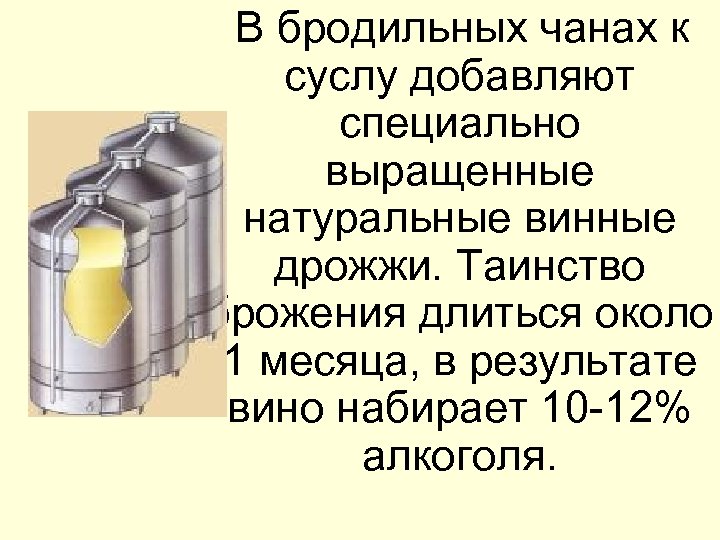  В бродильных чанах к суслу добавляют специально выращенные натуральные винные дрожжи. Таинство брожения