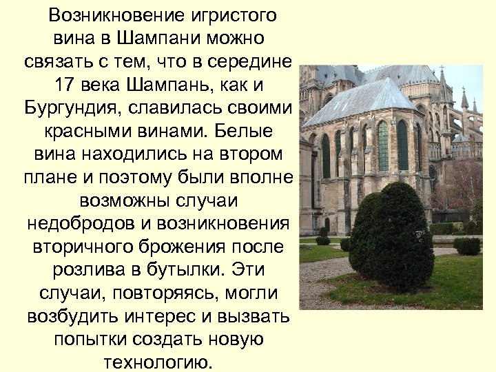  Возникновение игристого вина в Шампани можно связать с тем, что в середине 17